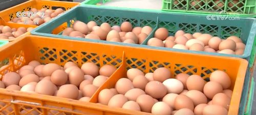 加強 菜籃子 供應能力 主要產品價格呈現穩中有降態勢